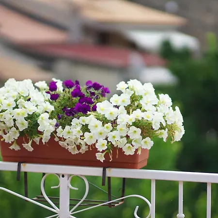 Il Castello Tropea Appartamento Caria