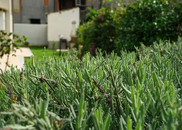Il Castello Tropea דירה Caria
