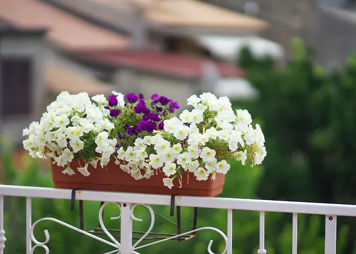 Il Castello Tropea דירה Caria