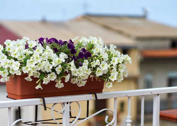 Il Castello Tropea Caria